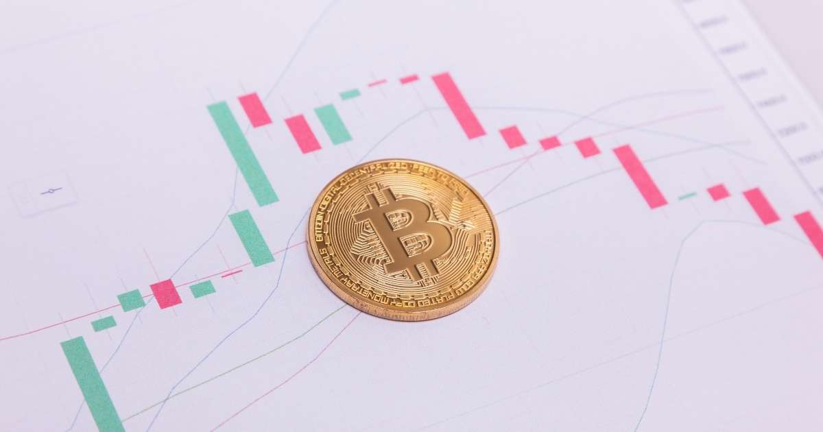 The Information About  How to Read Crypto Charts