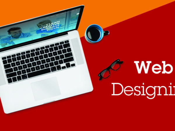 9 Reasons Why you should Hire a Professional Web Designer
