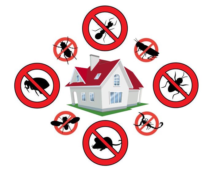pest control