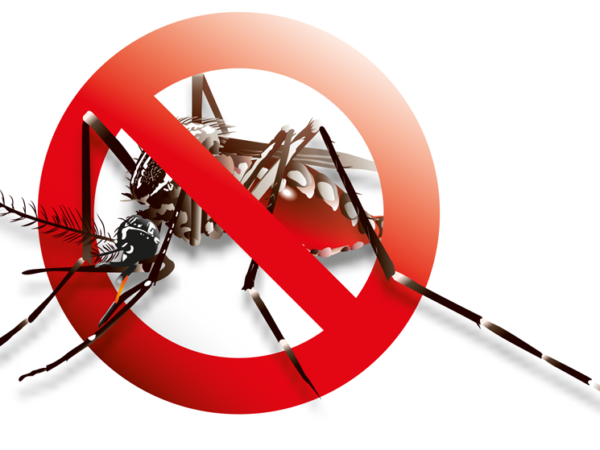 Attain Reliable Mosquito Control Services