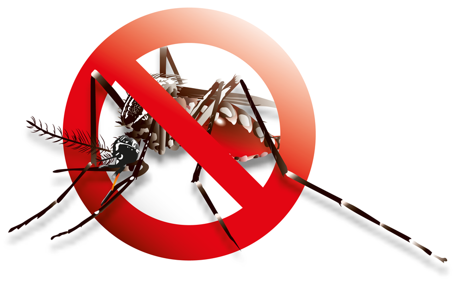 Attain Reliable Mosquito Control Services