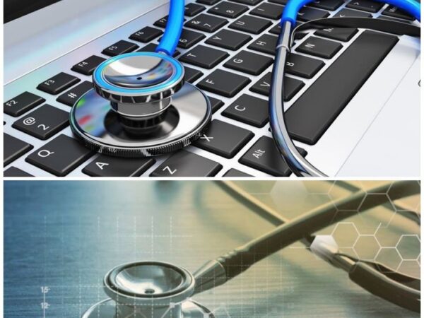 SEO Company for Healthcare Professionals: Navigating Success in Digital Presence